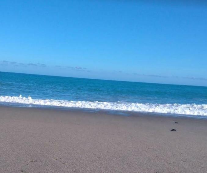 Raffaello Beach Apartment - 50 M From The Sea - Wifi Савона Екстериор снимка